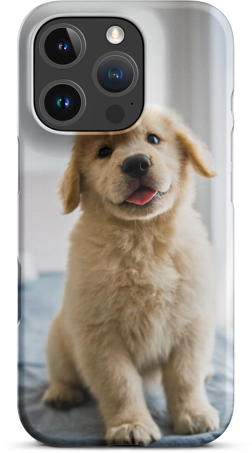 Golden Labrador Puppy on Bed for iPhone 16 pro