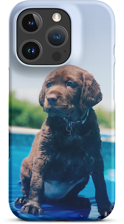 Chocolate Labrador Puppy by the Water for iPhone 16 pro